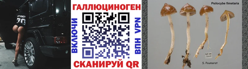Псилоцибиновые грибы GOLDEN TEACHER  Пошехонье 