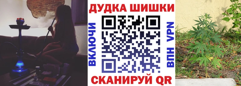 Бошки Шишки семена  Пошехонье 